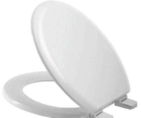 Mdf Toilet Seat Ice White – Nylon Hinge