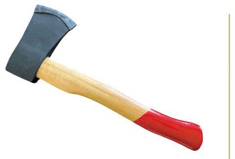 Axe Eco Wooden Handle Cast Steel – 2Lb