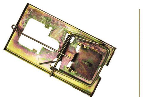 Rat Trap – Diy – 2Pcs Per Box